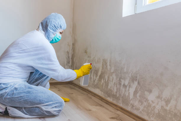 Licensed Mold Testing service in Boerne, TX - WQB Mold Removal