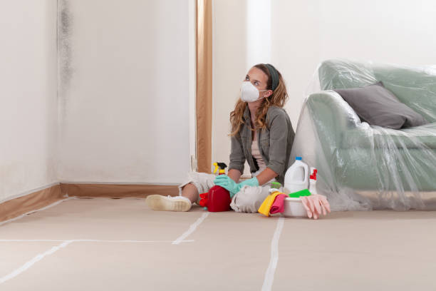 Reliable Mold Testing contractor in Boerne, TX by WQB Mold Removal